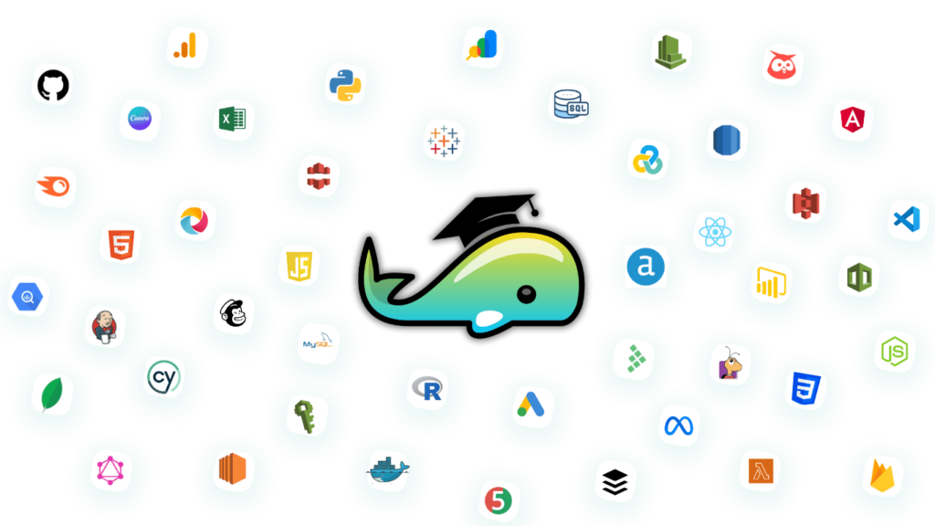 What you’ll learn in whales courses with expert guidance, practical lessons, and skill development